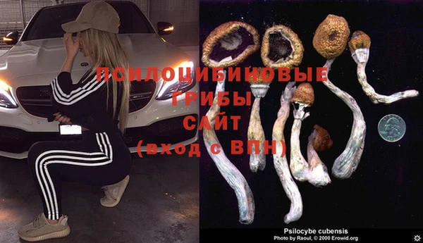 молекула духа Абаза