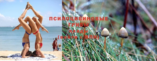 ешки Абинск